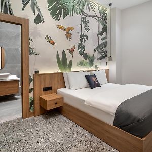 Appartamento superior con 1 camera da letto
